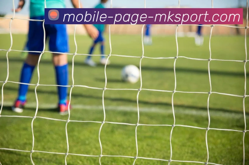 MK体育平台生态图