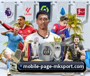 MK体育 APP - MKSPORTS